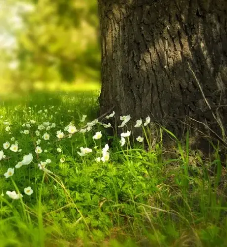 Our Global Footprint